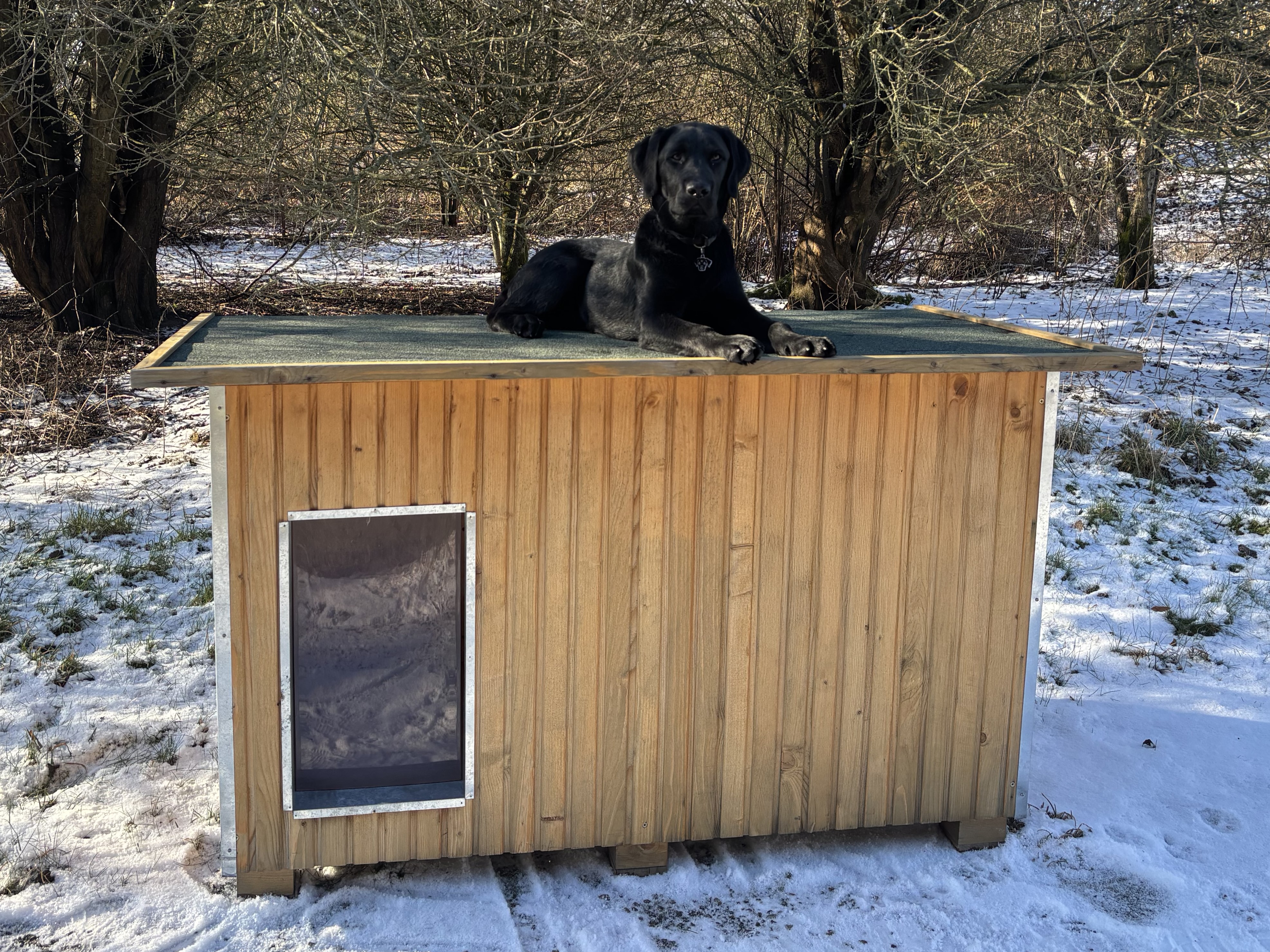 Svart hund slapper av oppå et hundehus i et vinterlandskap.