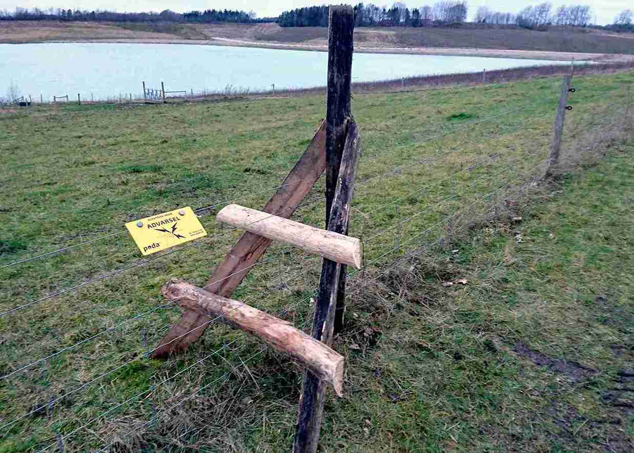 En tretrapp fører fra den ene siden av gjerdet til den andre.