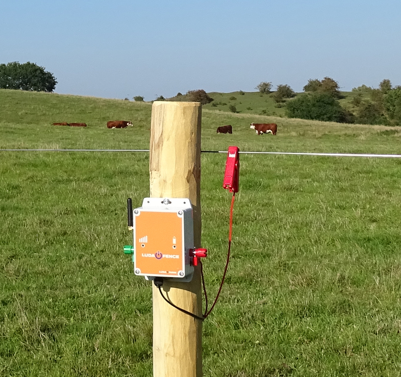 LUDA FenceAlarm montert på en stolpe for overvåking av gjerdspenning på en beitemark med kyr.