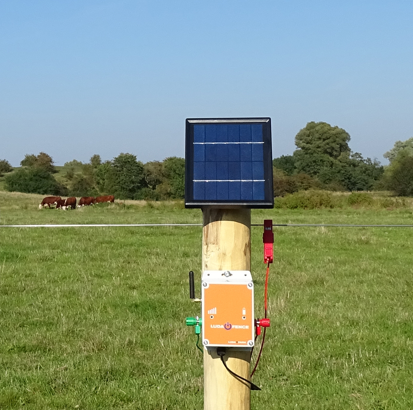 LUDA FenceAlarm med solcellepanel montert på en stolpe for overvåking av gjerdspenning på en beitemark med kyr.