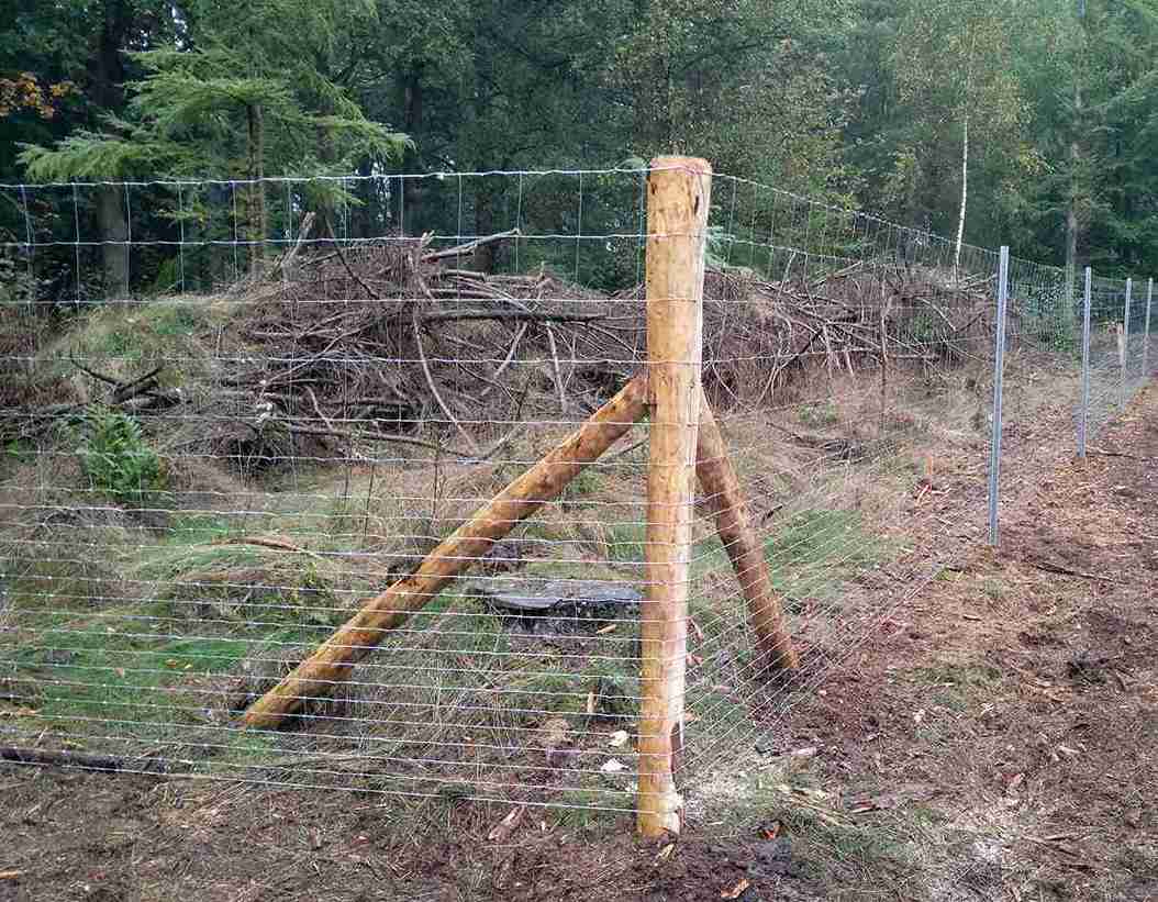 Hjørnet av et skogsgjerde med en trestolpe. Laget i nettinggjerde.