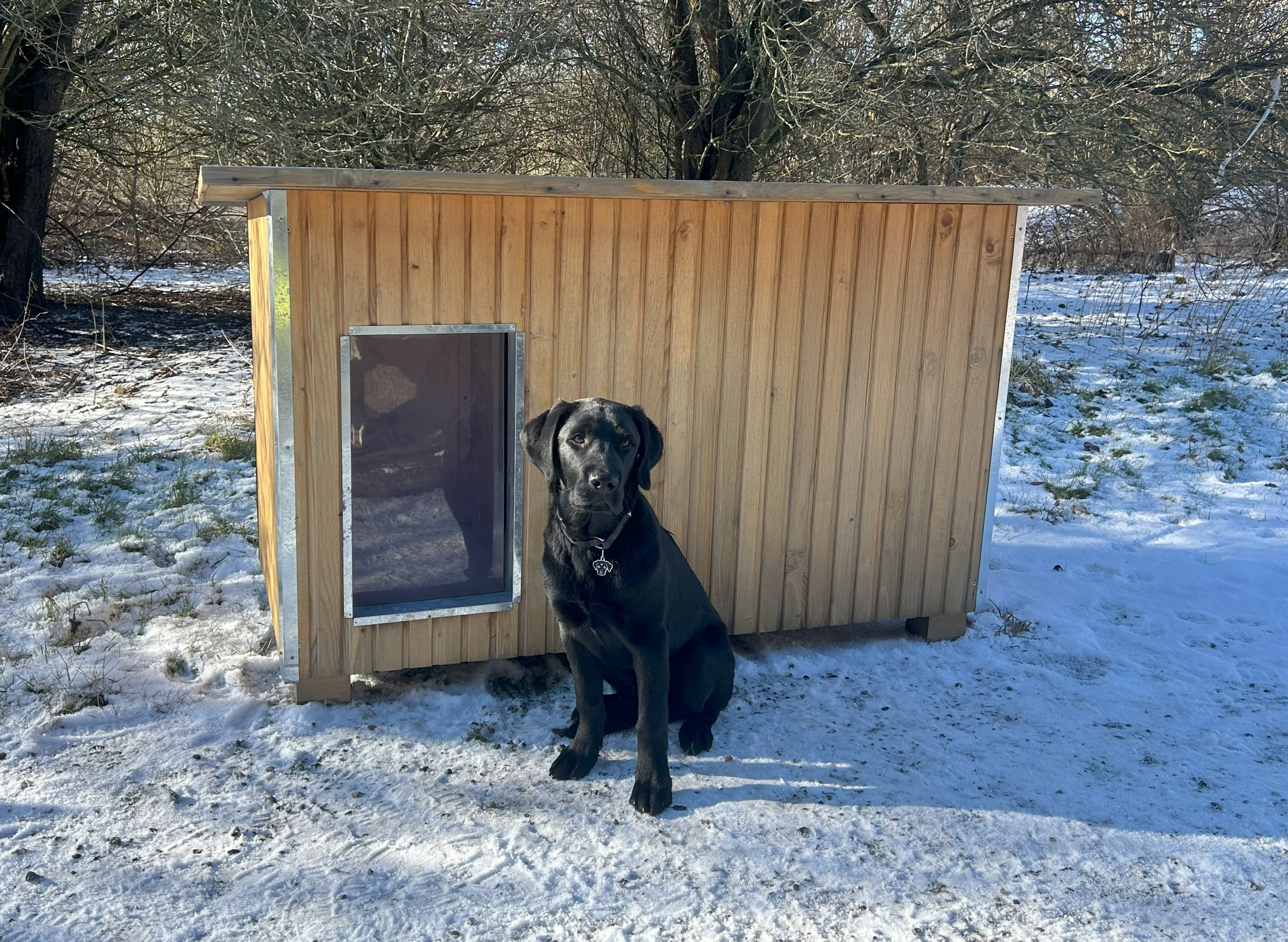 Svart hund sitter foran et hundehus i et vinterlandskap med snø på bakken.