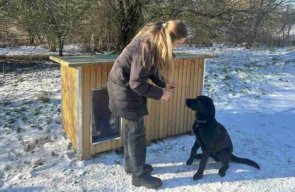 Kvinne gir en svart hund en godbit foran et hundehus i et vinterlandskap med snø på bakken.