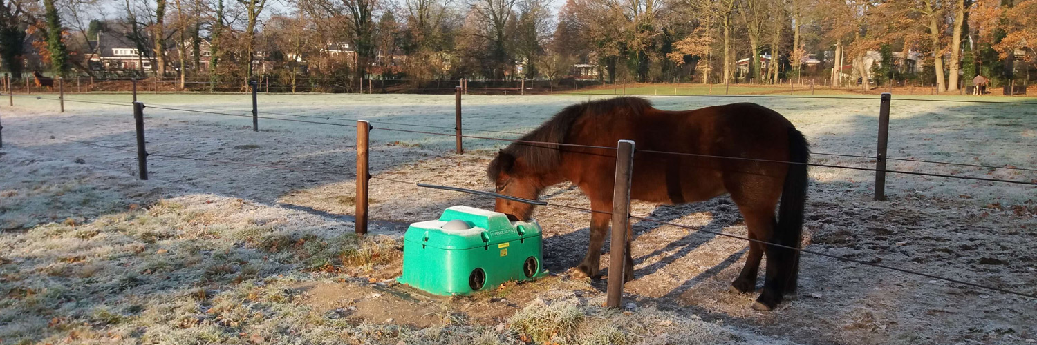 En vintermorgen drikker en hest fra et drikkekar. Hesten står bak et gjerde