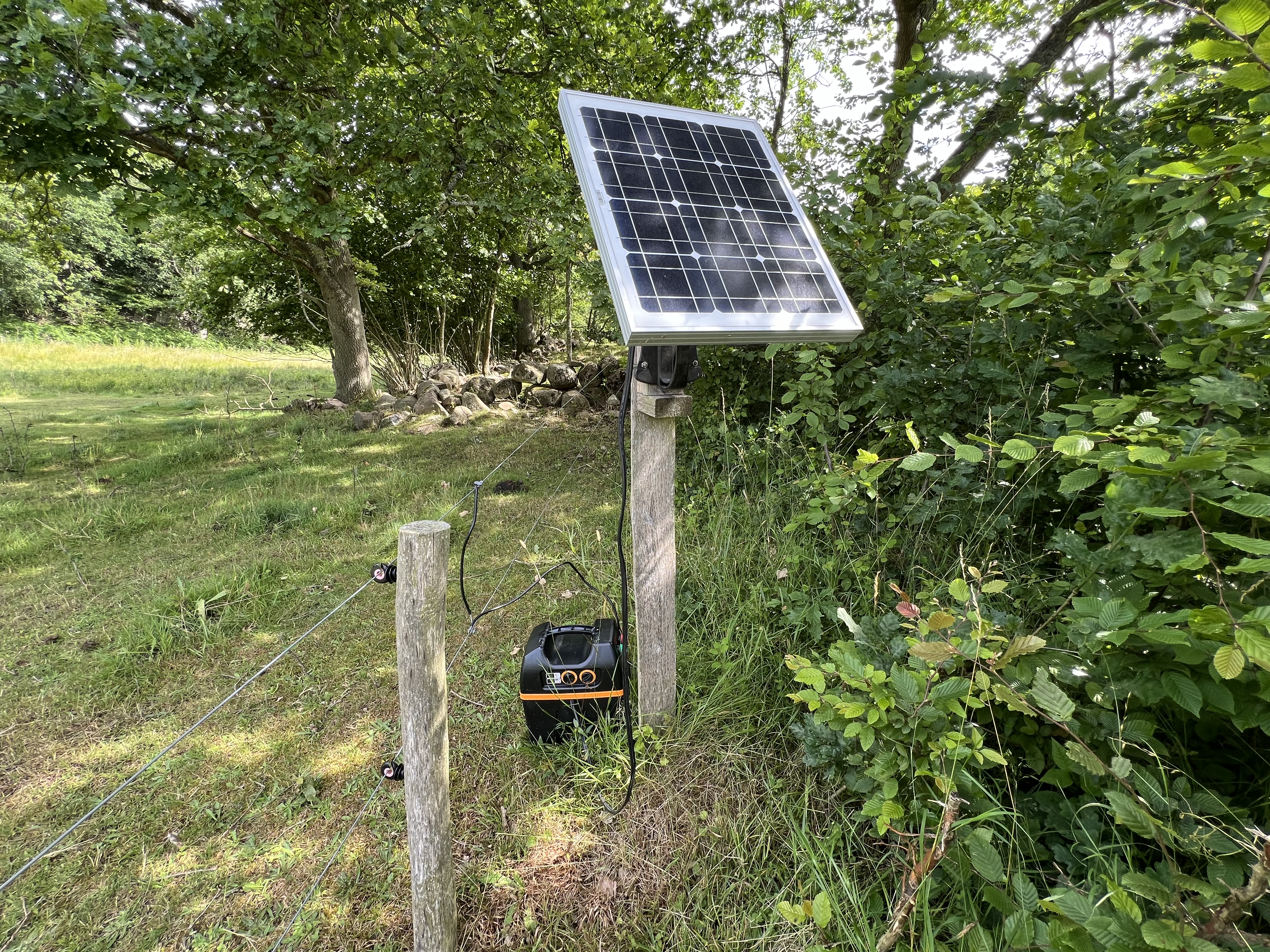 Et solcellepanel koblet til et elektrisk gjerdeapparat ved skogkanten, montert på en stolpe ved et elektrisk gjerde i grønne omgivelser.