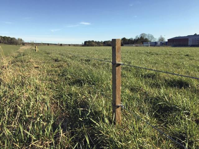 Et elektrisk gjerde sikrer et jorde mot villsvin.