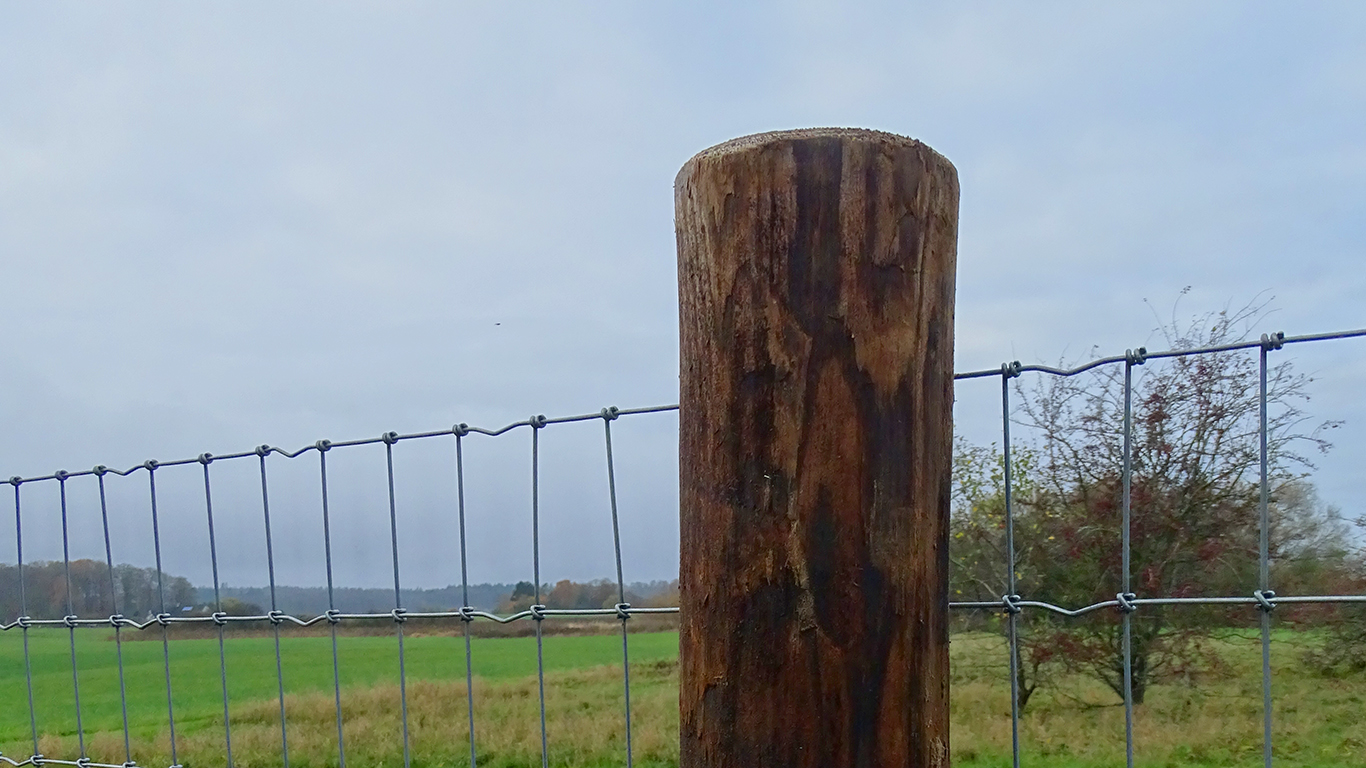 FaunaWood trestolpe med festet nettinggjerde i et åpent landskap.