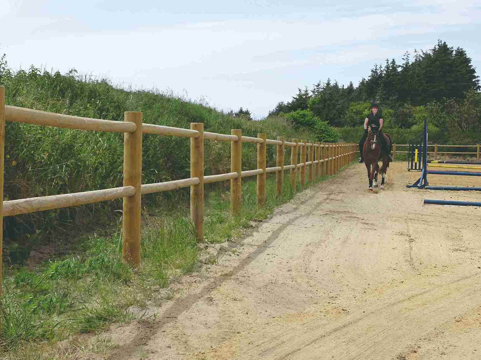 En kvinnelig rytter leder hesten sin rundt på en sprangbane. Ridebanen er omkranset av et tregjerde.