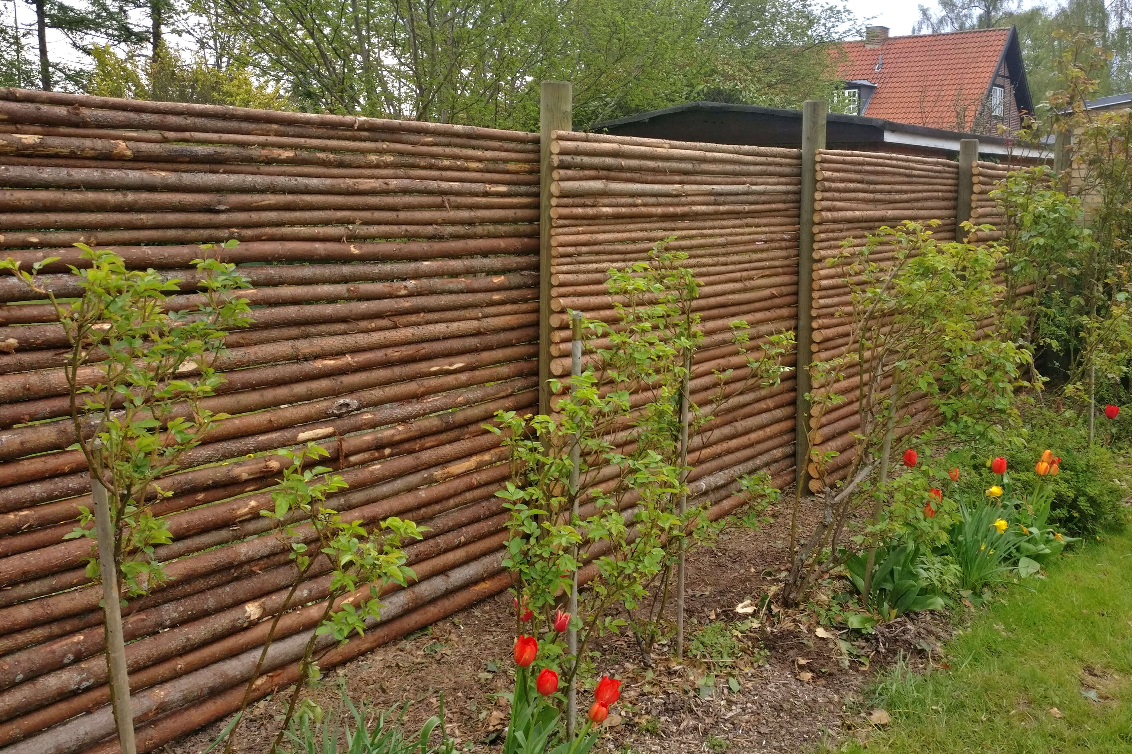 Noen vakre planter er plantet mot et stokkegjerde med bark