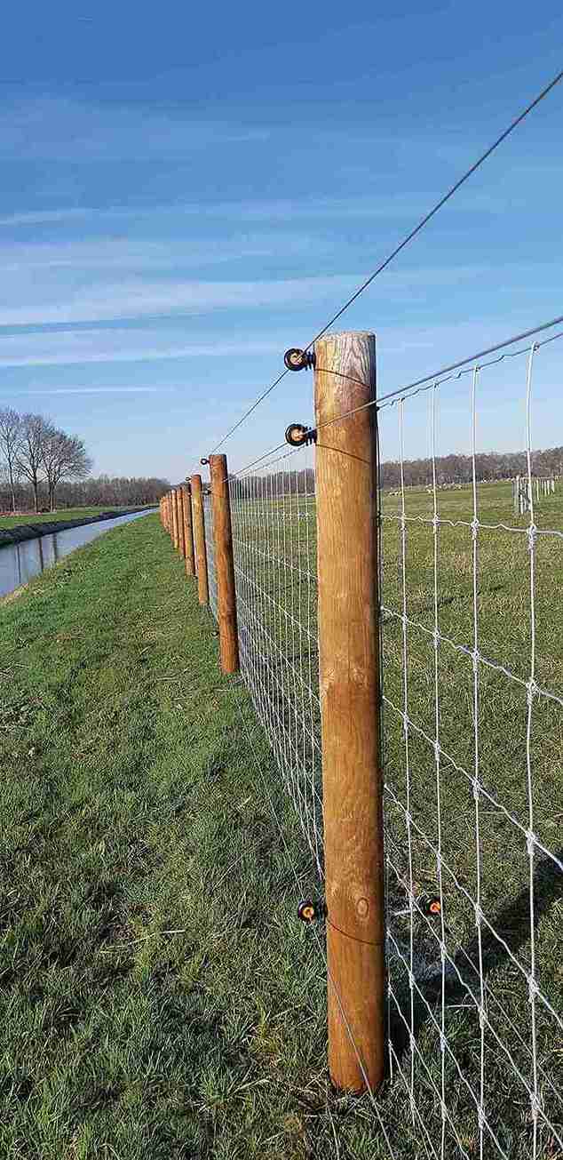 En saueinnhegning er sikret mot ulv med tre elektriske ledninger.