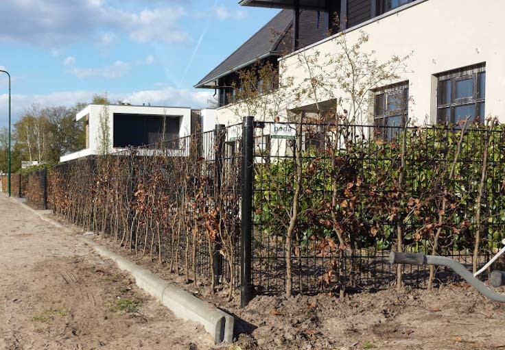 I forgrunnen er det et svart panelgjerde, i bakgrunnen er det et hvitt hus