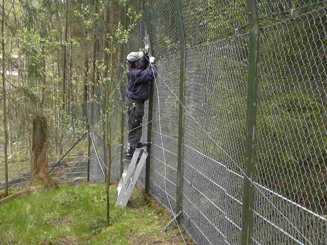 En mann monterer elektriske ledninger på toppen av et høyt gjerde i en dyrehage.