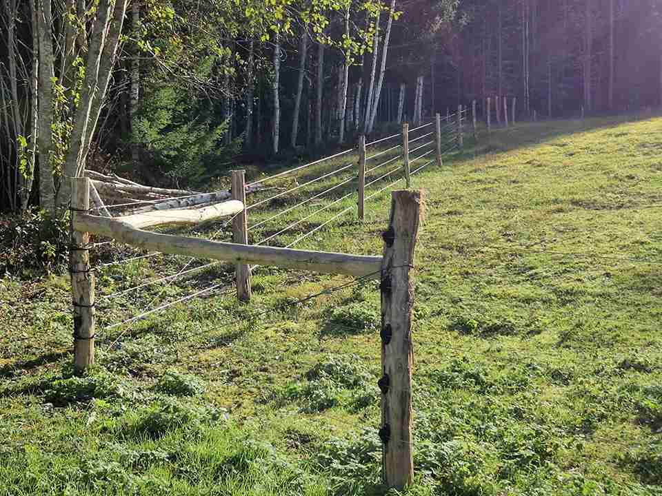 Dette er hjørnet av et ulvesikkert gjerde med fem rader med strømførende ledninger