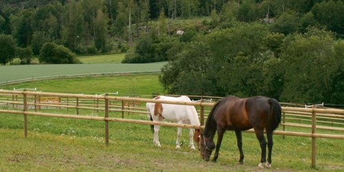 Klassisk lektergjerde med strømførende tråd på innsiden
