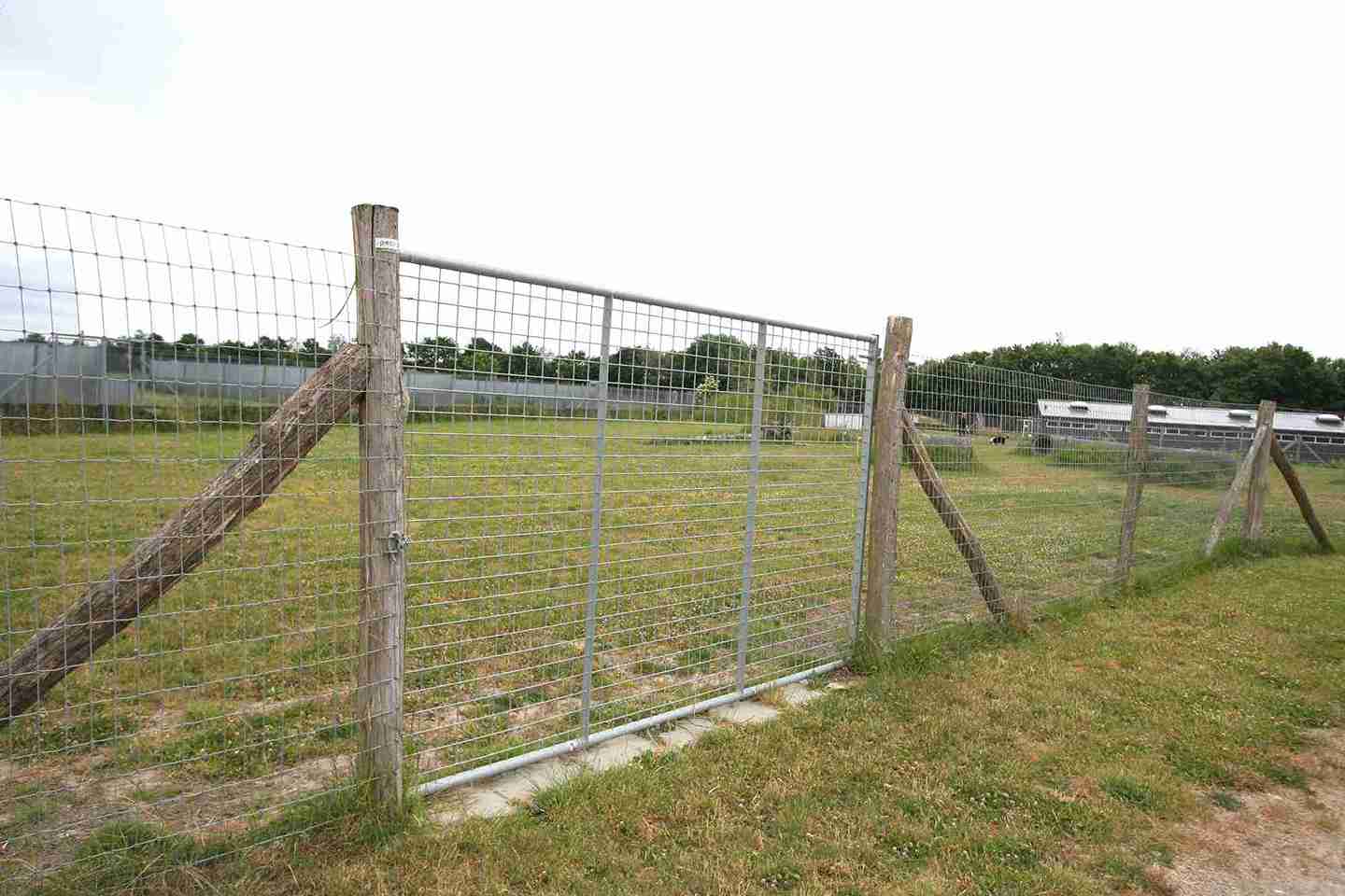En høy ståldør gir tilgang til en hundegård.