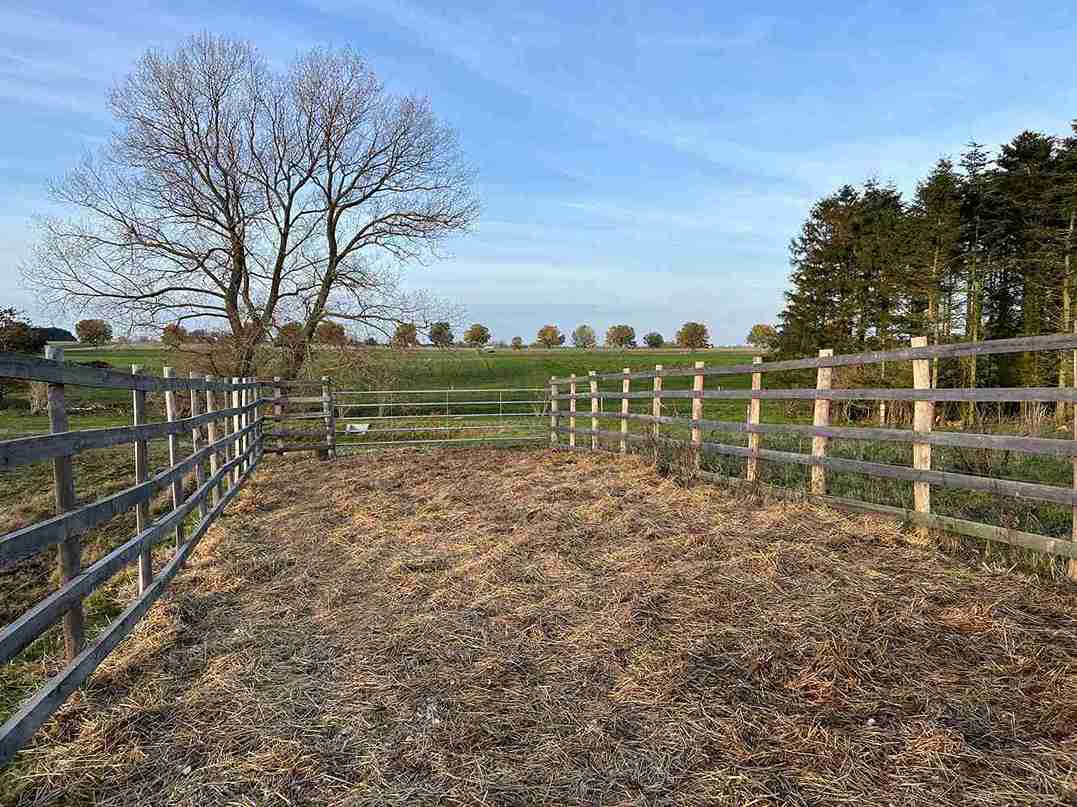 Permanent fanggrind med ståldører for inn- og utgang