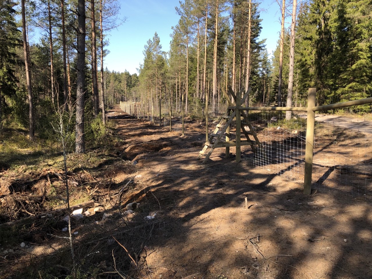 Et skogsgjerde sikrer et skogsområde mot dyreliv og inntrengere.
