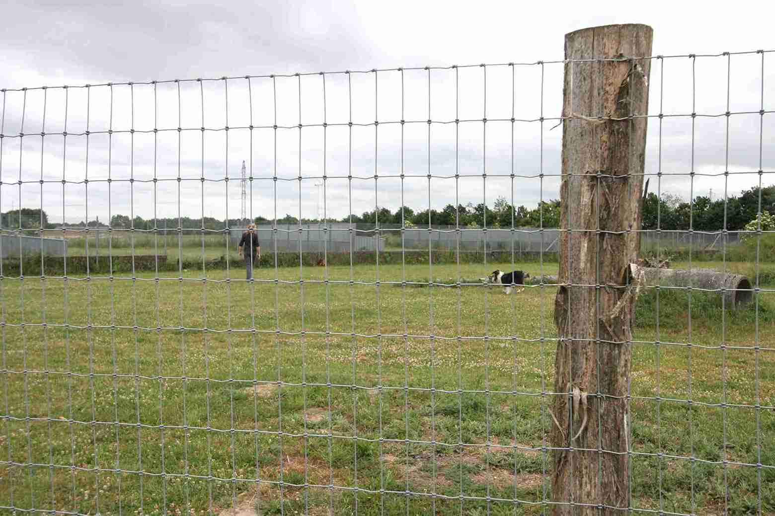 Et høyt gjerde omgir en løpegård der en hund og en person går rundt.