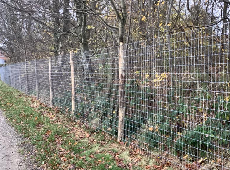 Et grøntområde er beskyttet av et høyt Multinet-gjerde på Robinia-stolper