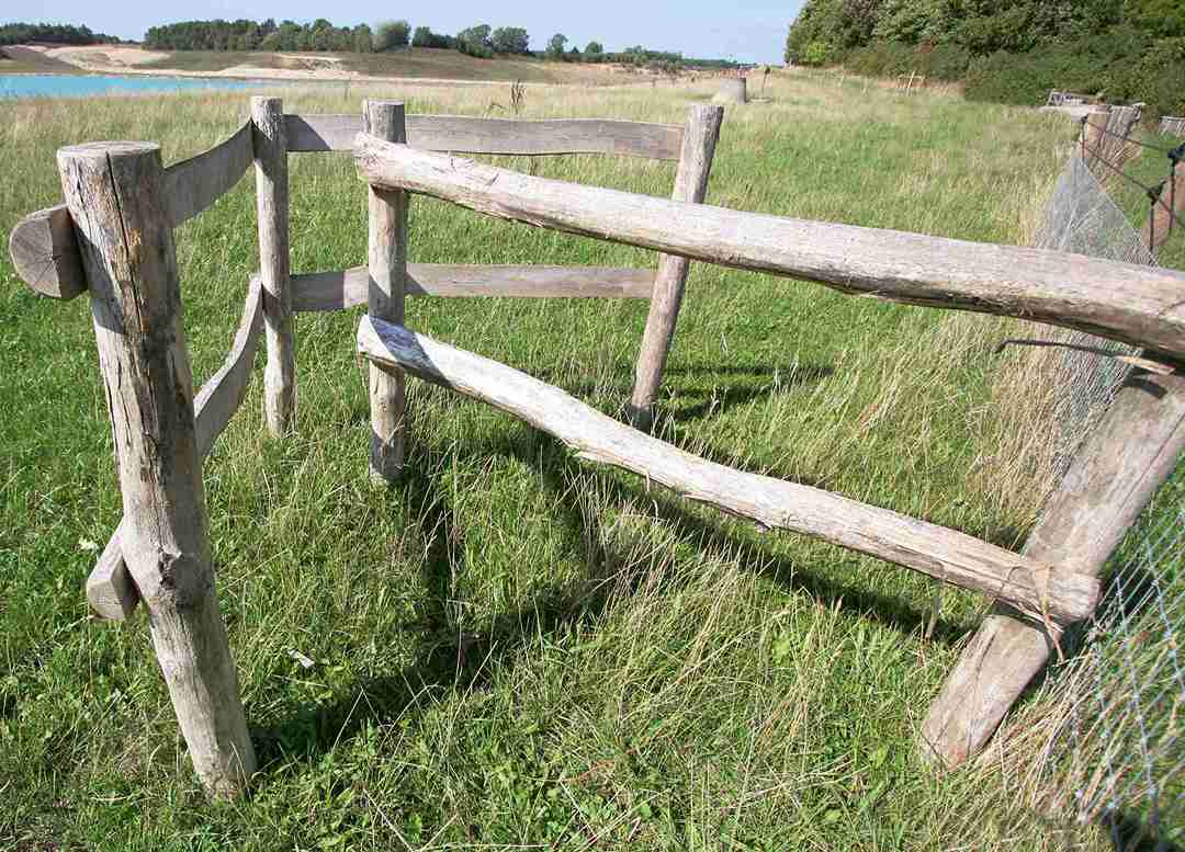 Med den praktiske passasjen kan du enkelt komme deg inn i bingen for å slippe ut dyrene