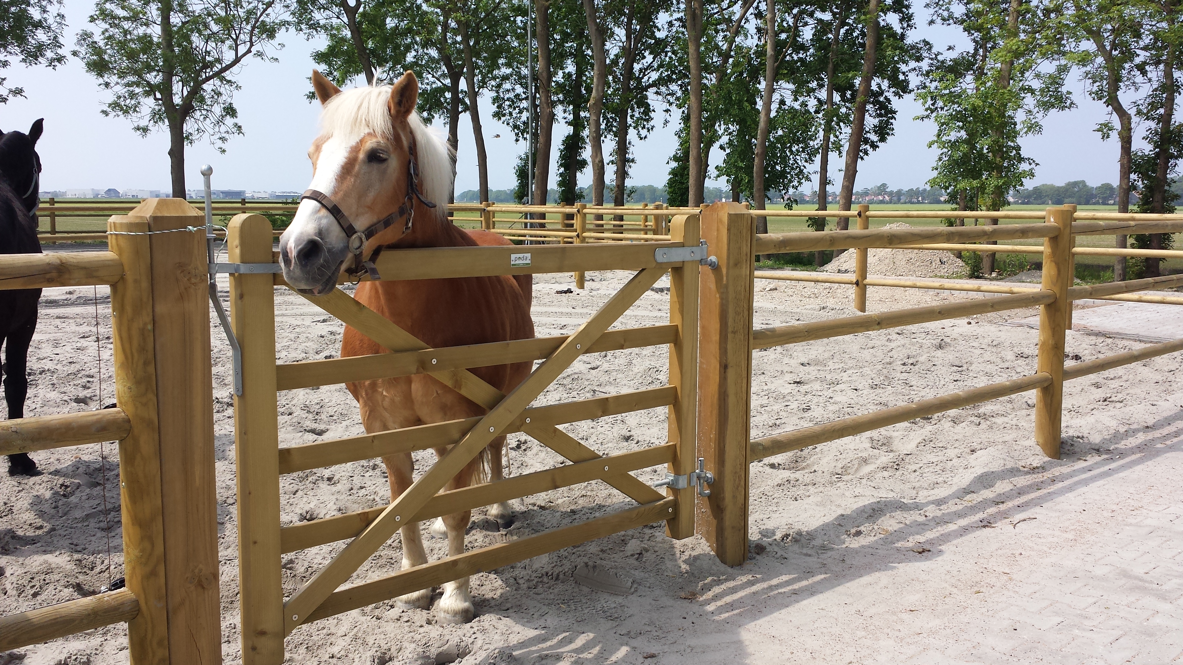 En brun hest står i innhegningen sin og ser ut over en «Country House»-grind
